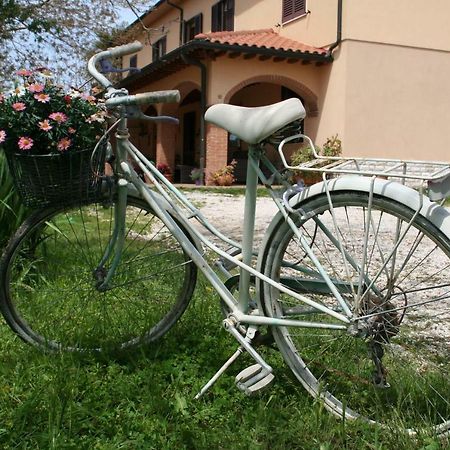 ונטורינה טרמה Agriturismo Diciocco מראה חיצוני תמונה
