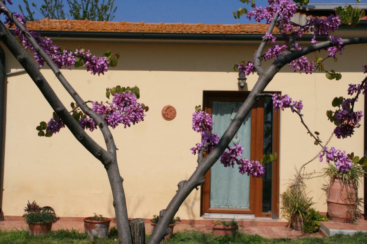 ונטורינה טרמה Agriturismo Diciocco מראה חיצוני תמונה