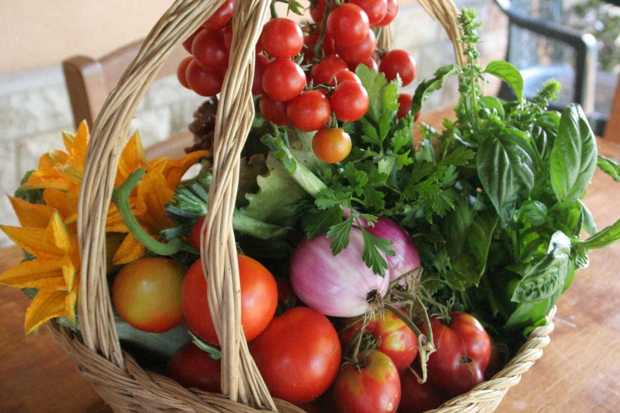 ונטורינה טרמה Agriturismo Diciocco מראה חיצוני תמונה