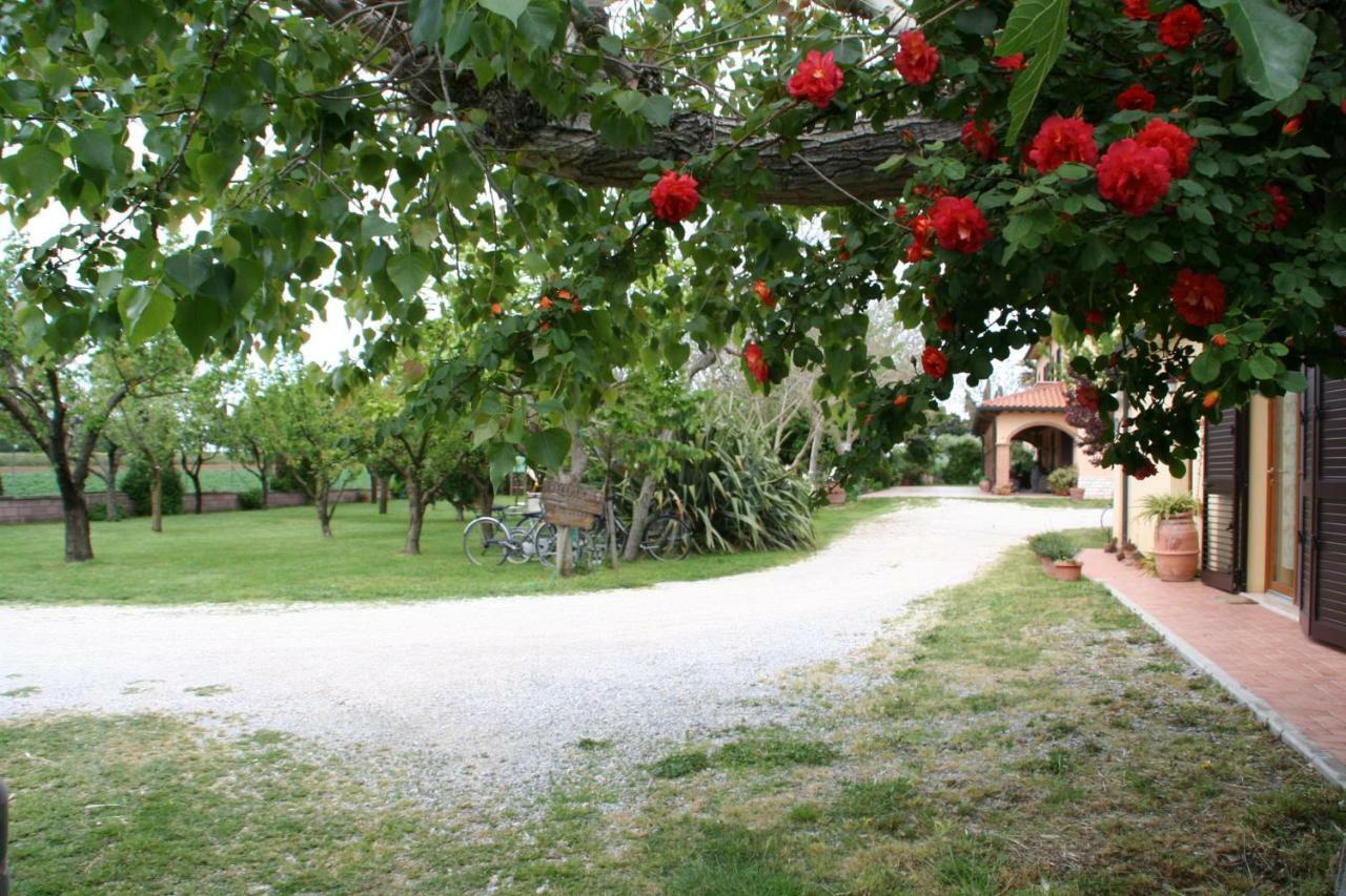 ונטורינה טרמה Agriturismo Diciocco מראה חיצוני תמונה